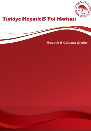 Hepatit B Yol Haritası