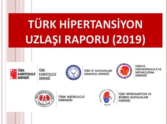 TurkHipertansiyonUzlasiRaporu2019