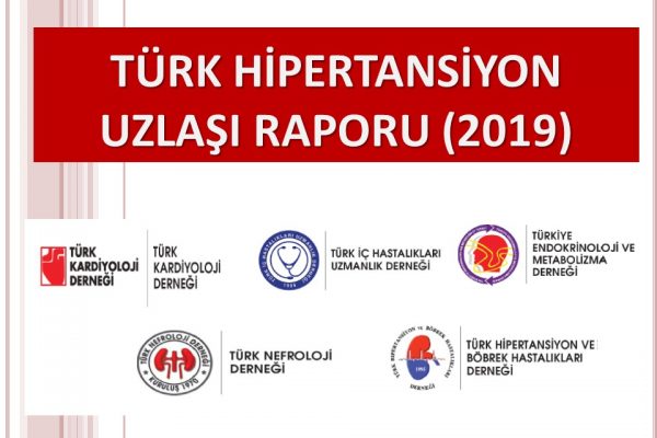 TurkHipertansiyonUzlasiRaporu2019 TurkHipertansiyonUzlasiRaporu2019